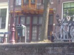 IMG-20130713-00474